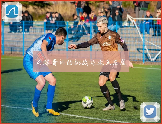 足球青训的挑战与未来发展