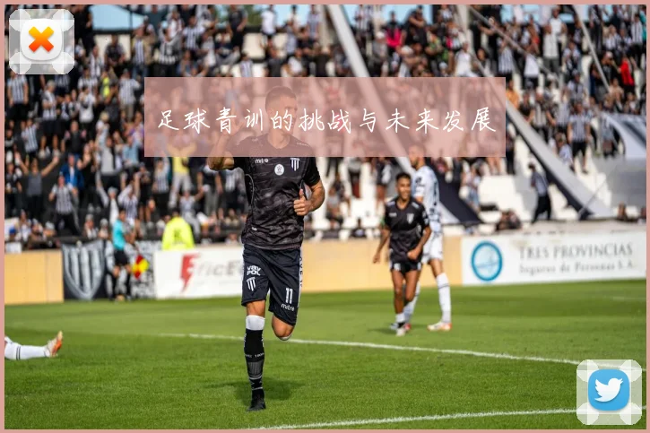 足球青训的挑战与未来发展