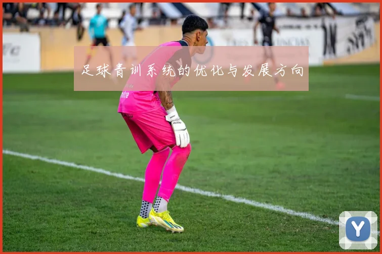足球青训系统的优化与发展方向
