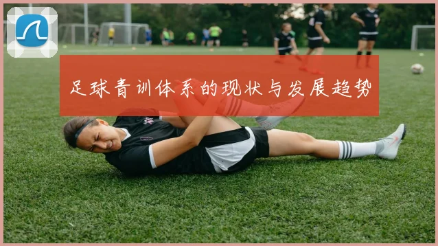 足球青训体系的现状与发展趋势